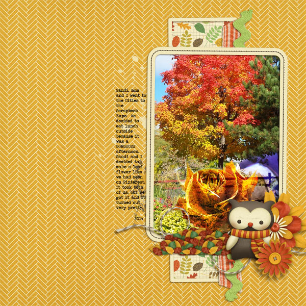 Ka-woodland-autumn