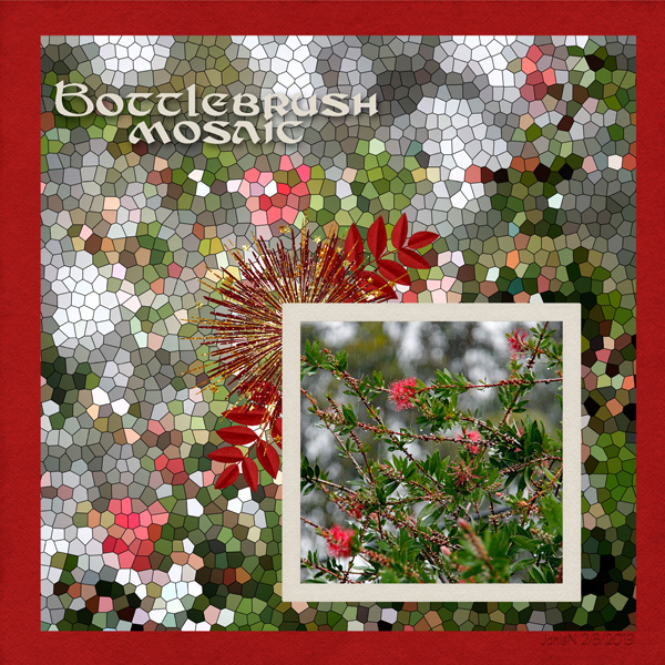 Kaagard_bottlebrushmosaic