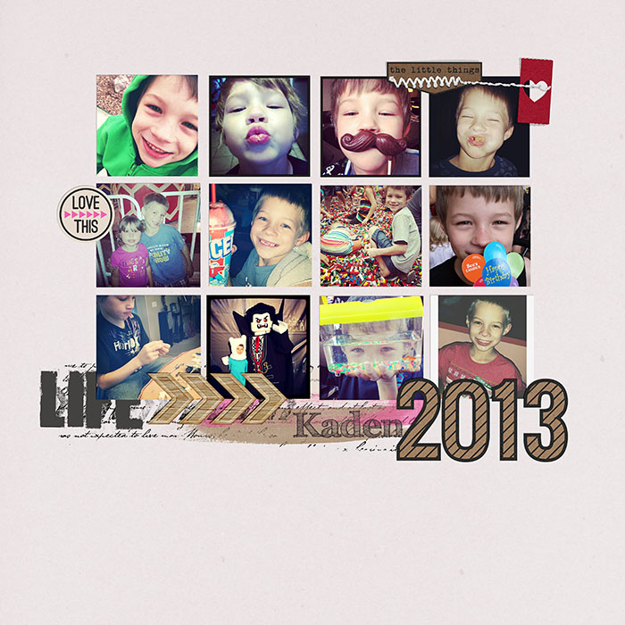 Kaden 2013