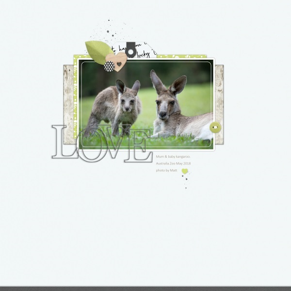 Kangaroo Mum