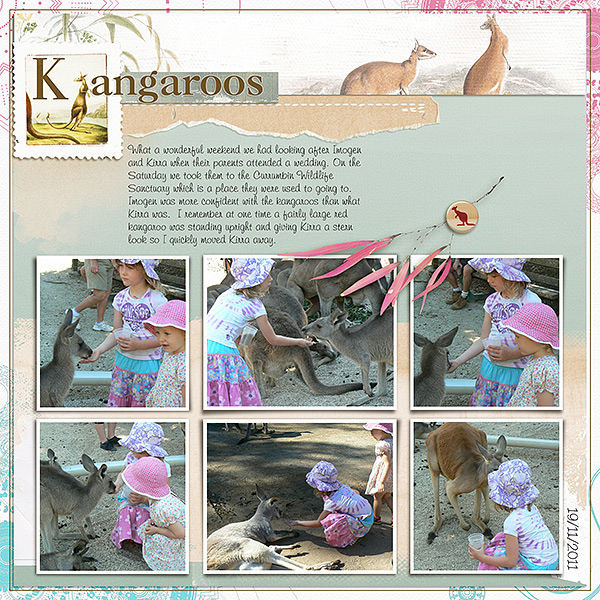 Kangaroos