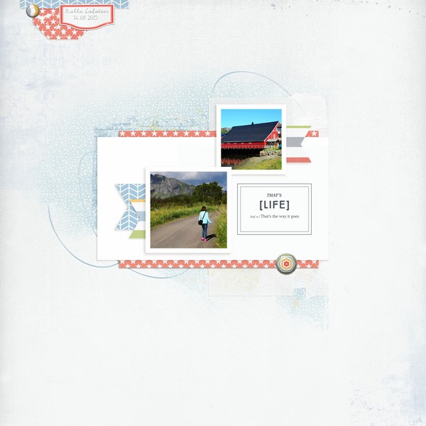 Katell Lilypad 03 2016 (Copier)