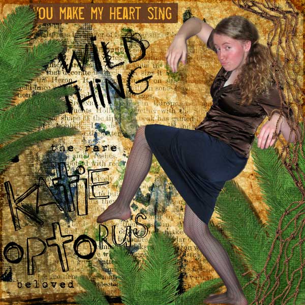 Katieoptorus
