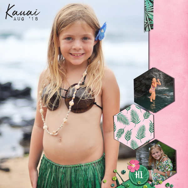 Kauai Aug '18