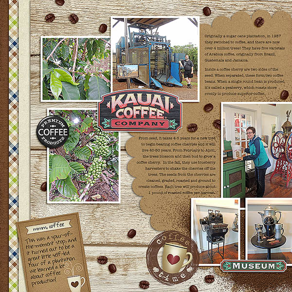 Kauai Coffee MOC4 Day 10