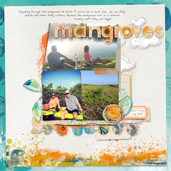 kayaking through the Mangroves