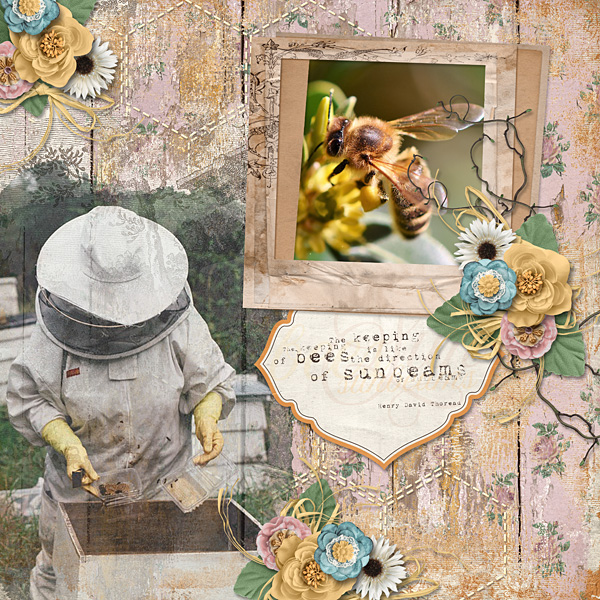 Keeping Bees