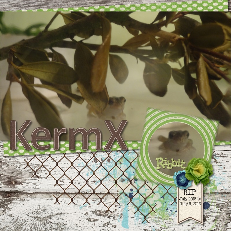 Kermx