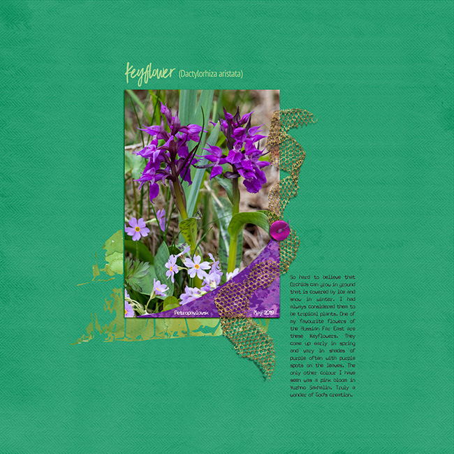 Keyflower