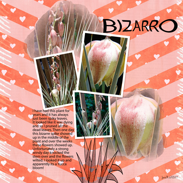 Khadfield_bizzaro