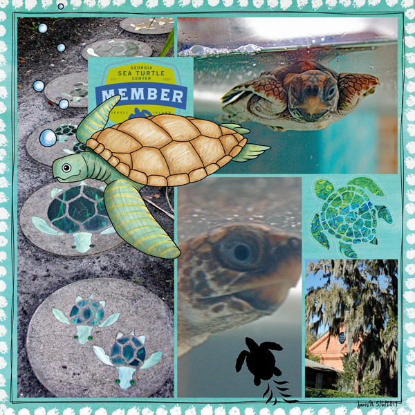 Khadfield_seaturtle