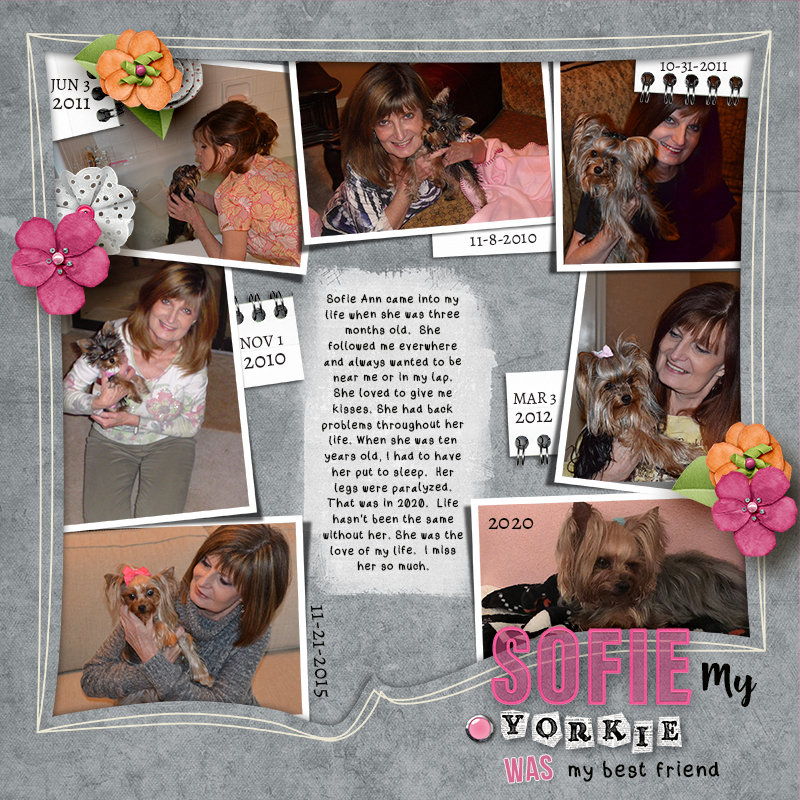 Kim Jensen Mar Chal_ Sofie My Yorkie