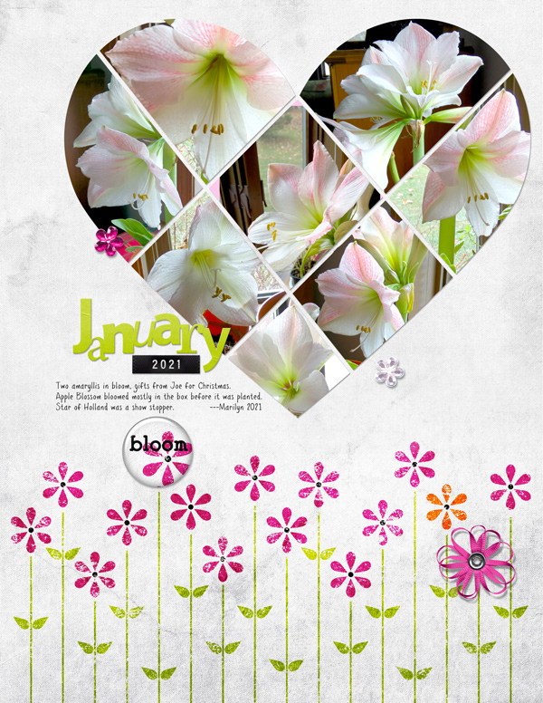Kim-Jensen_2021-02_February-Template-Challenge_web