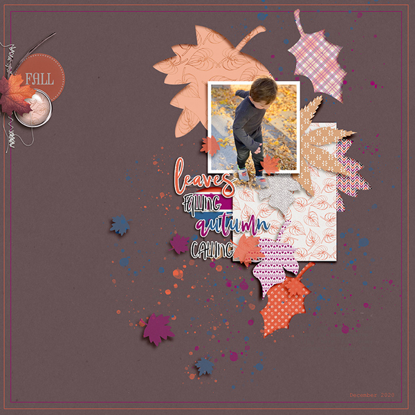 Kimberly-Fall-Leaves