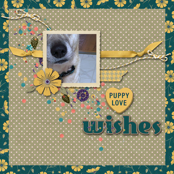 Kimjensen_puppylovewishes