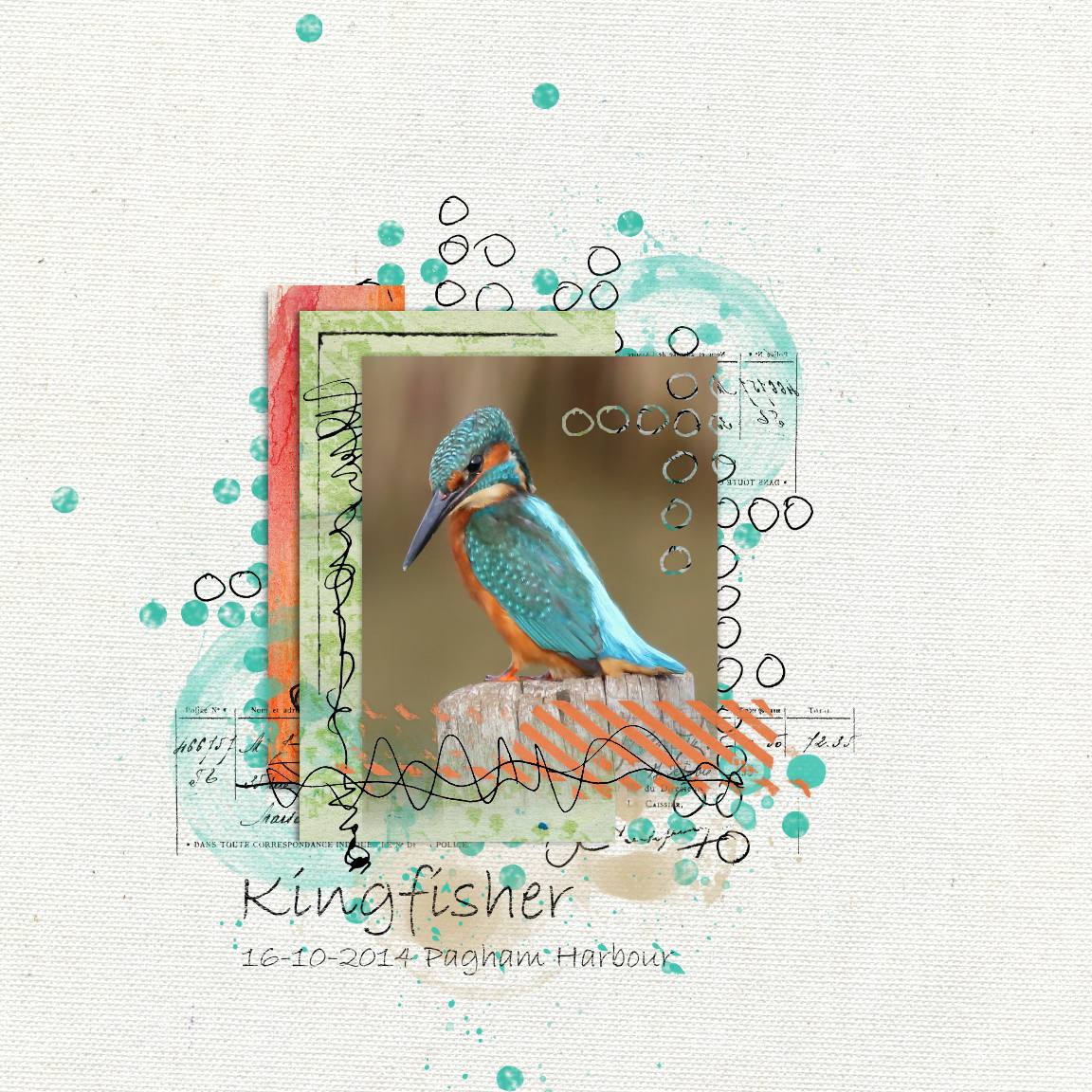 Kingfisher