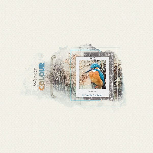 Kingfisher