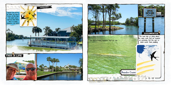 Kings Bay Manatee Cruise