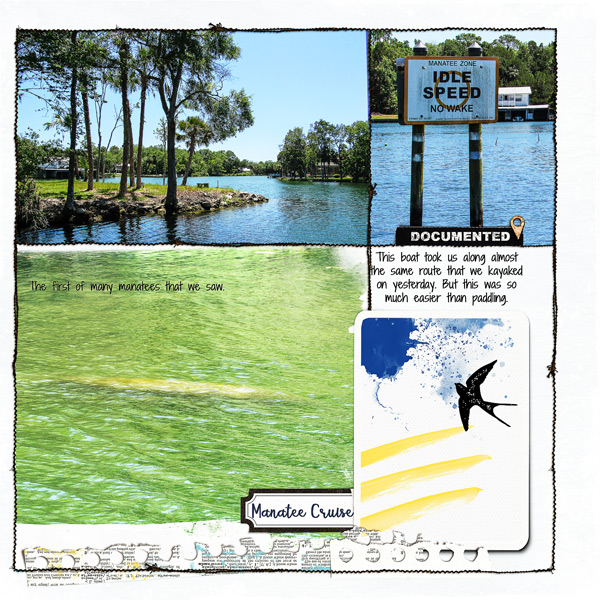 Kings Bay Manatee Cruise_right