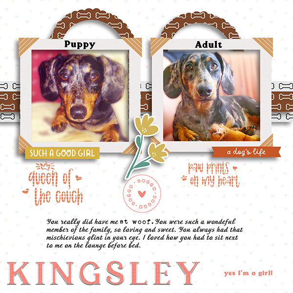 Kingsley-MOC