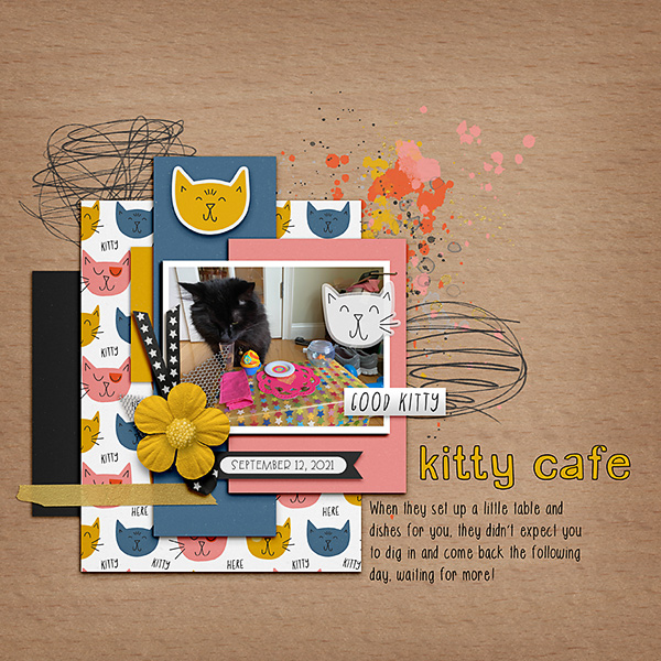 Kitty Cafe