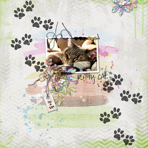 Kitty Cat