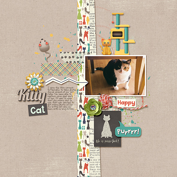Kitty Cat