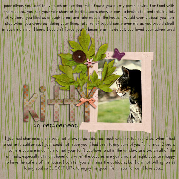 Kitty in Retirement
