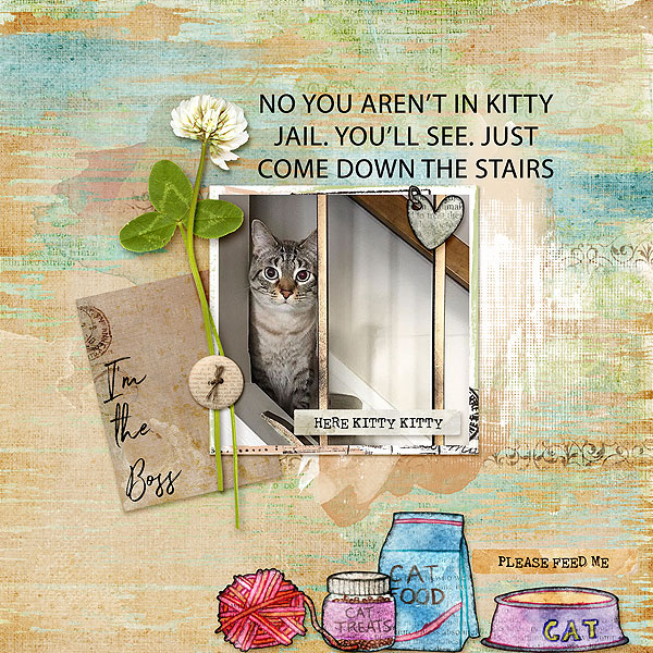 Kitty Jail