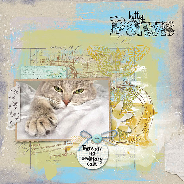 Kitty-paws