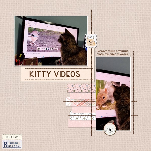 Kitty Videos