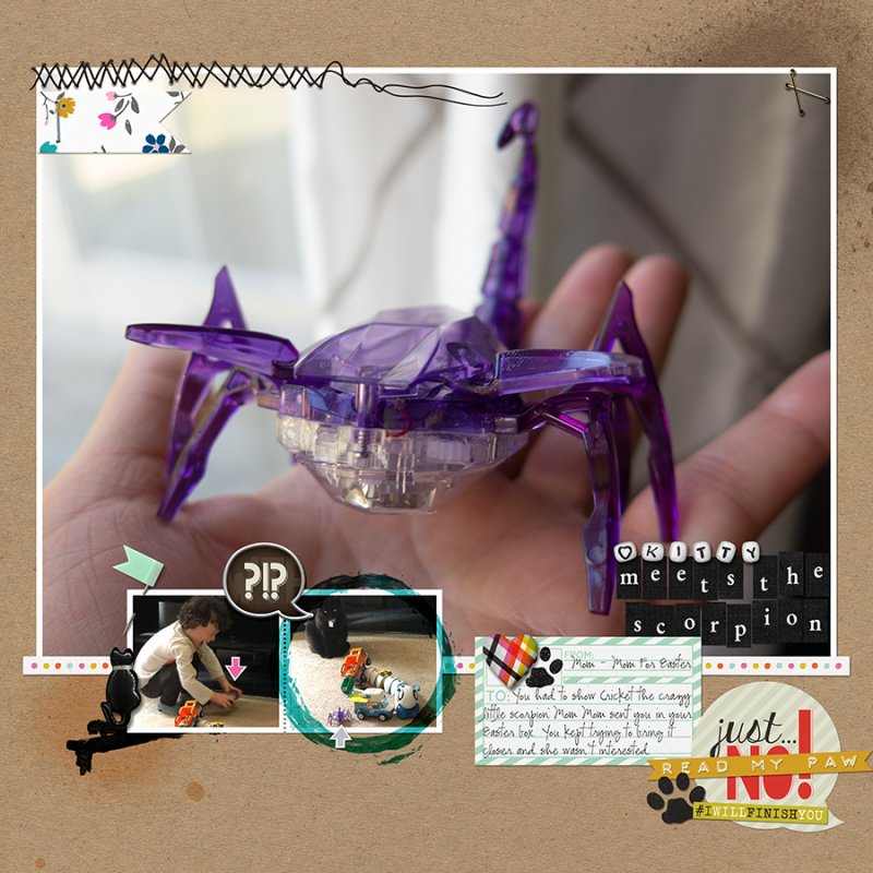 KittyAndScorpion052020PC