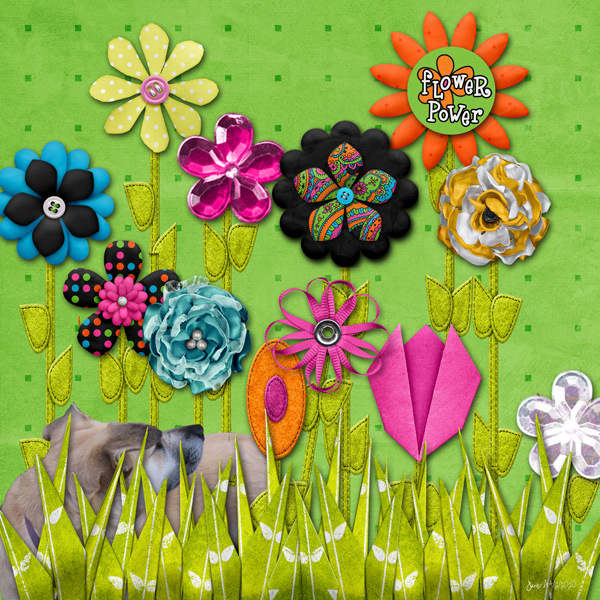 KJensen_flowerpower