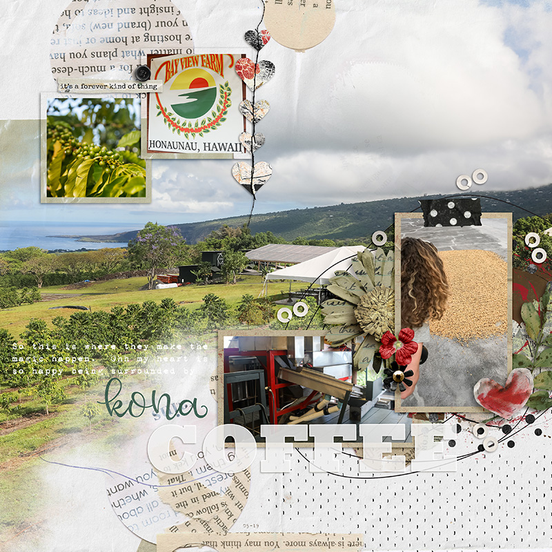 Kona Coffee Farm