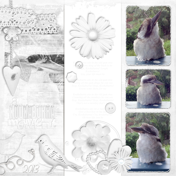 "Kookaburra"