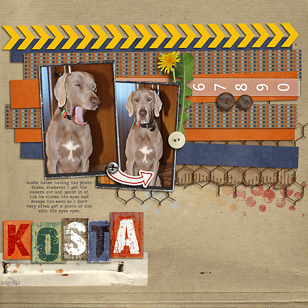 Kosta