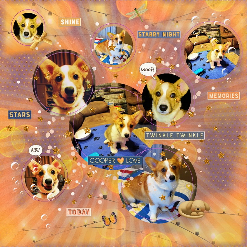 Kristin Aagard-July-Surprise Challenge-Pup Star