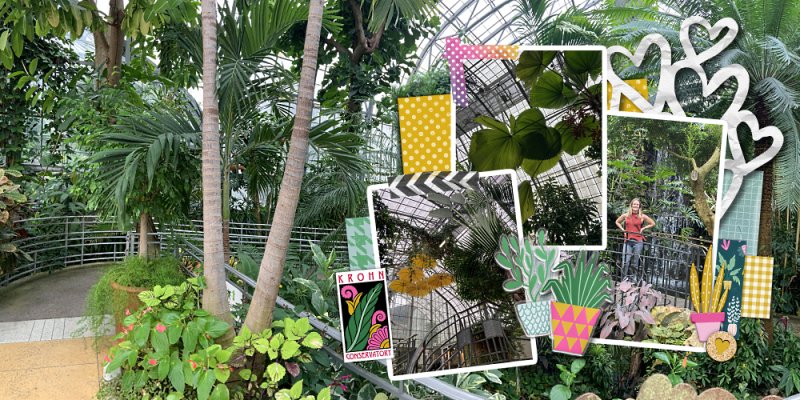 Krohn Conservatory in Cincinnati