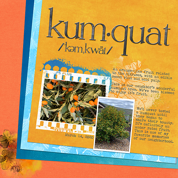 Kumquat Day 25 Design on an Angle