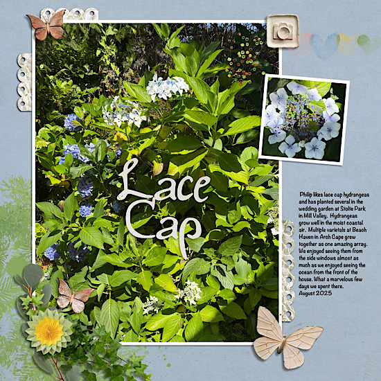 Lace Cap