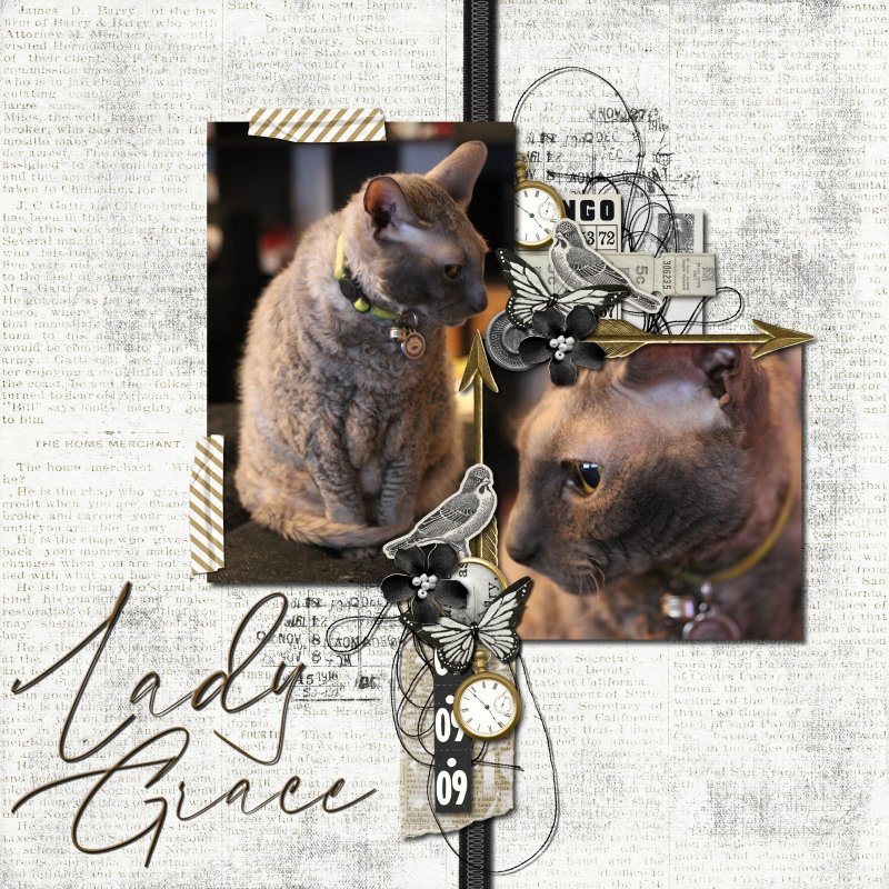 Lady Grace