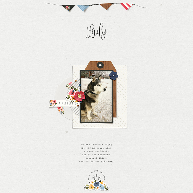 Lady