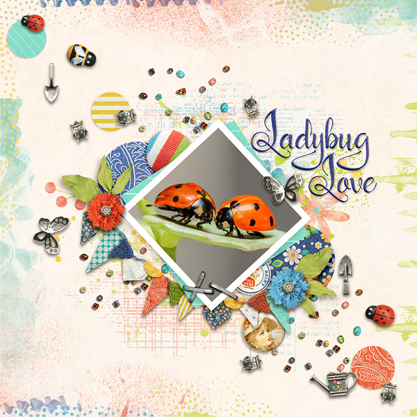 Ladybug Love