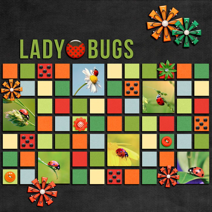 Ladybugs