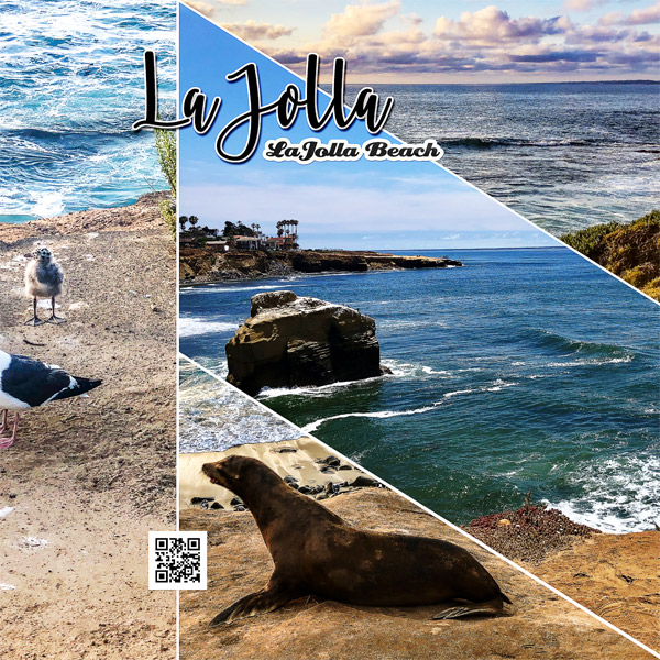 LaJolla_right