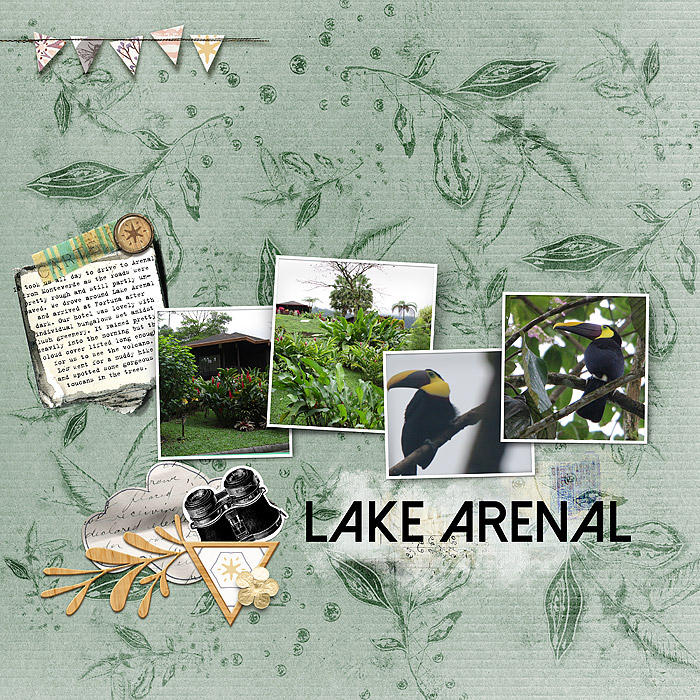 Lake Arenal - MOC #19