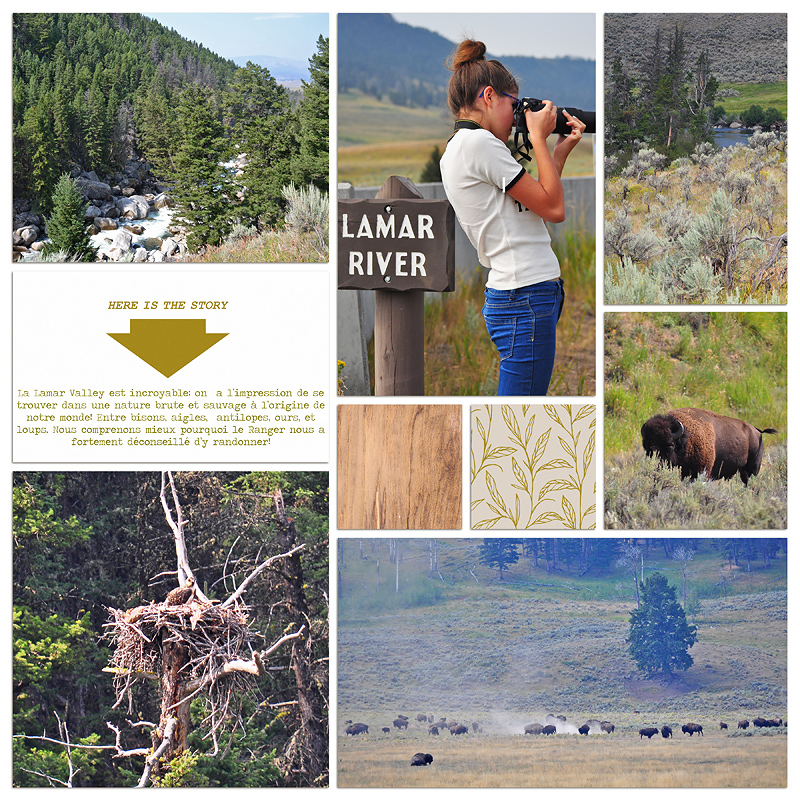 Lamar Valley 2 Copie