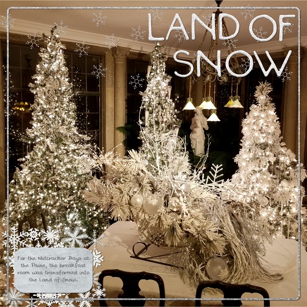 Land Of Snow