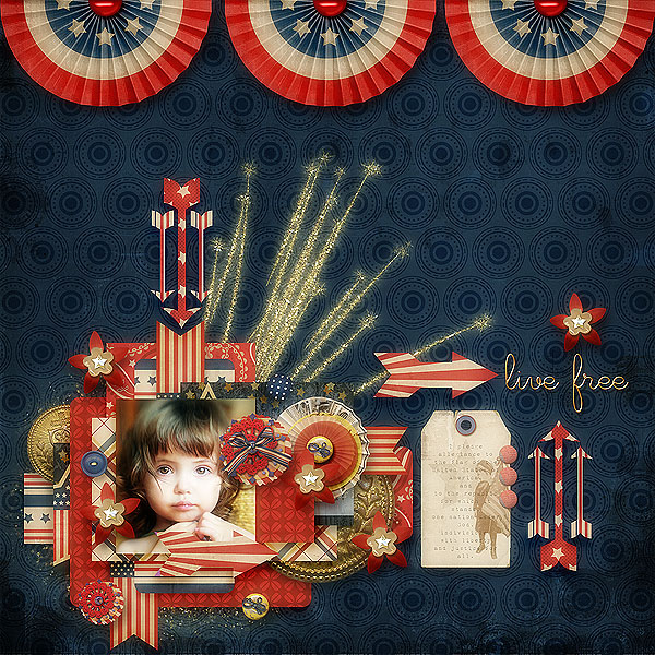 Land Of The Free