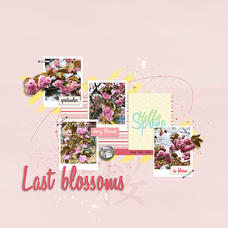 Last Blossoms - 2020